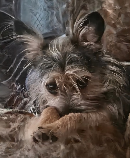 Maggie Mae