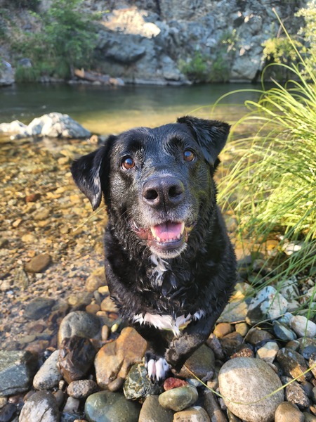 Max