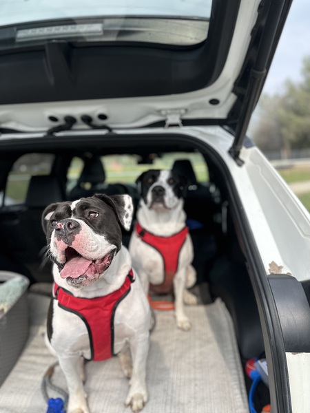 Bella & Mac