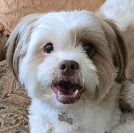 Rosie