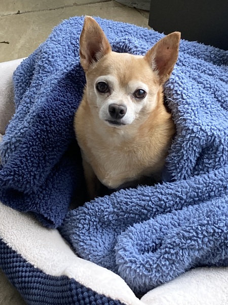 Diego