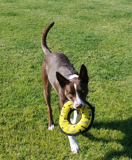 Duncan