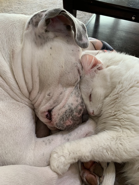 Leah and Whitey