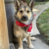 Entry image for Ellie