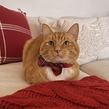 Entry image for Charlie
