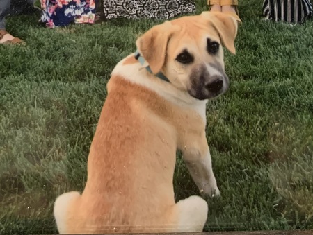 Charlie 