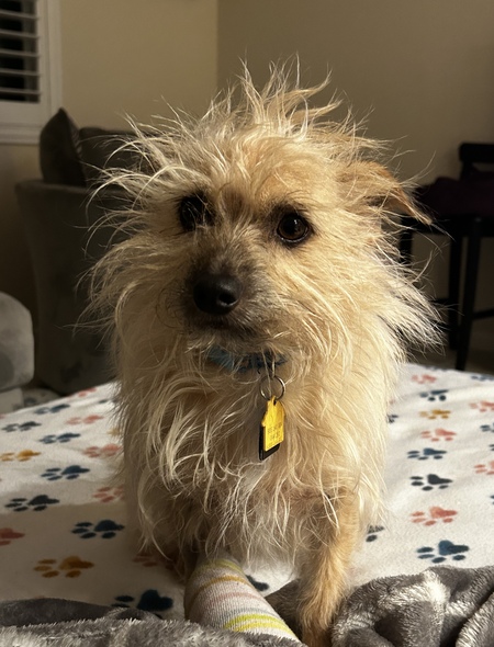 Zeus
