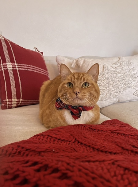 Entry image for Charlie. Clicking this image will show a larger photo