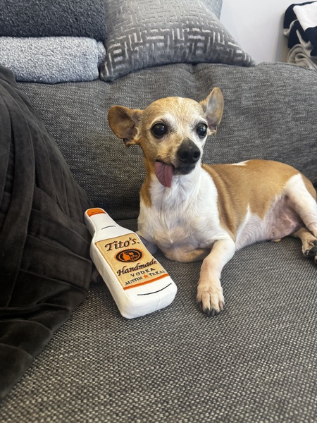Tito