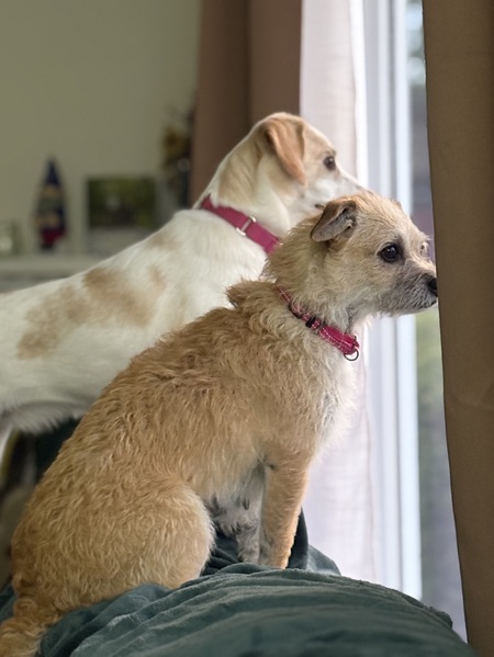 Izzy & Freya 
