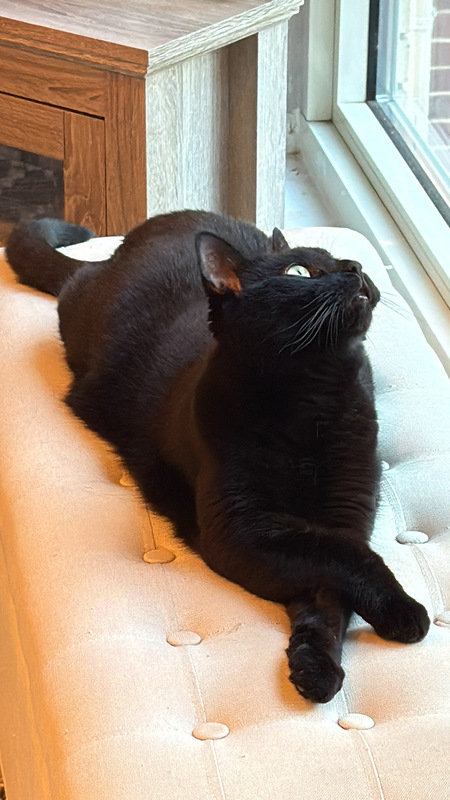 Entry image for Roy. Clicking this image will show a larger photo