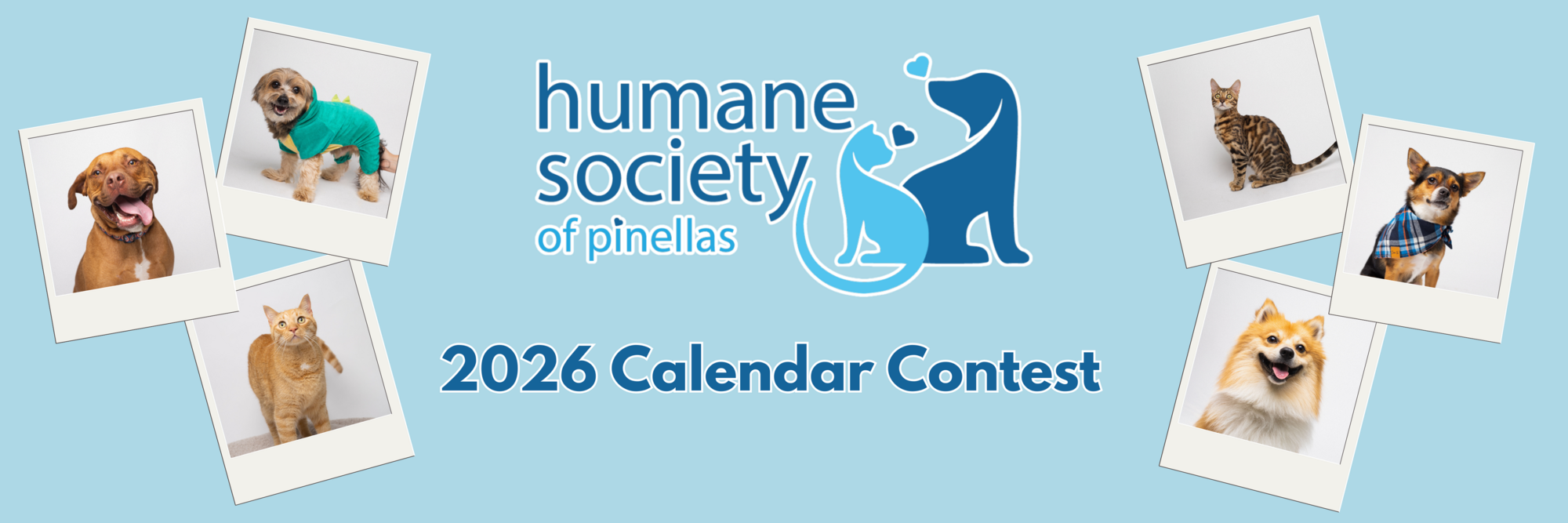Banner for Humane Society of Pinellas 2026 Calendar Contest