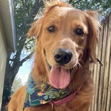 Entry image for Elizabeth Reed