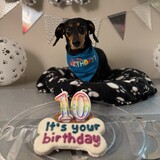 Entry image for Googs