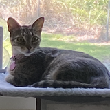 Entry image for Zoe aka Lil’ Bit