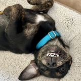 Entry image for Winnie