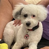 Entry image for Cheer