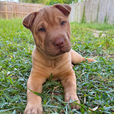 Entry image for Emmie