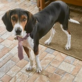 Entry image for Crosby