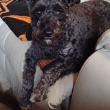 Entry image for Maggie Mae 