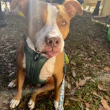 Entry image for Riley