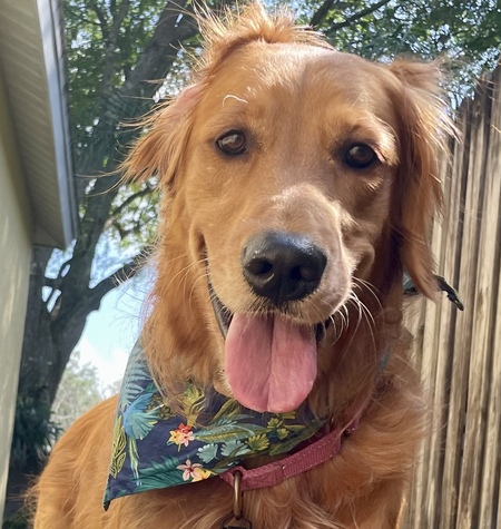 Entry image for Elizabeth Reed. Clicking this image will show a larger photo