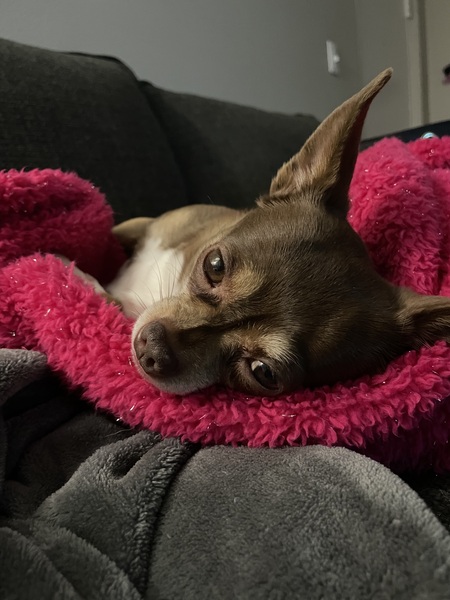 Entry image for Nana. Clicking this image will show a larger photo