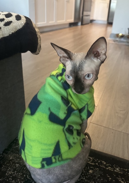 Entry image for San. Clicking this image will show a larger photo