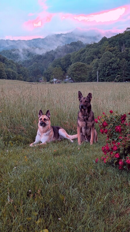 Entry image for Ella and Grimm. Clicking this image will show a larger photo