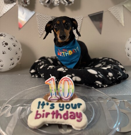 Entry image for Googs. Clicking this image will show a larger photo