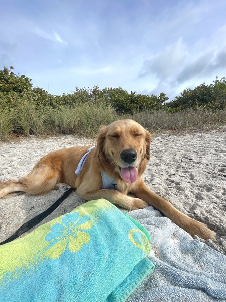 Entry image for Blake. Clicking this image will show a larger photo