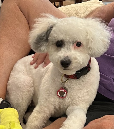 Entry image for Cheer. Clicking this image will show a larger photo