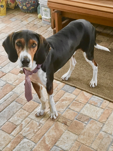 Entry image for Crosby. Clicking this image will show a larger photo