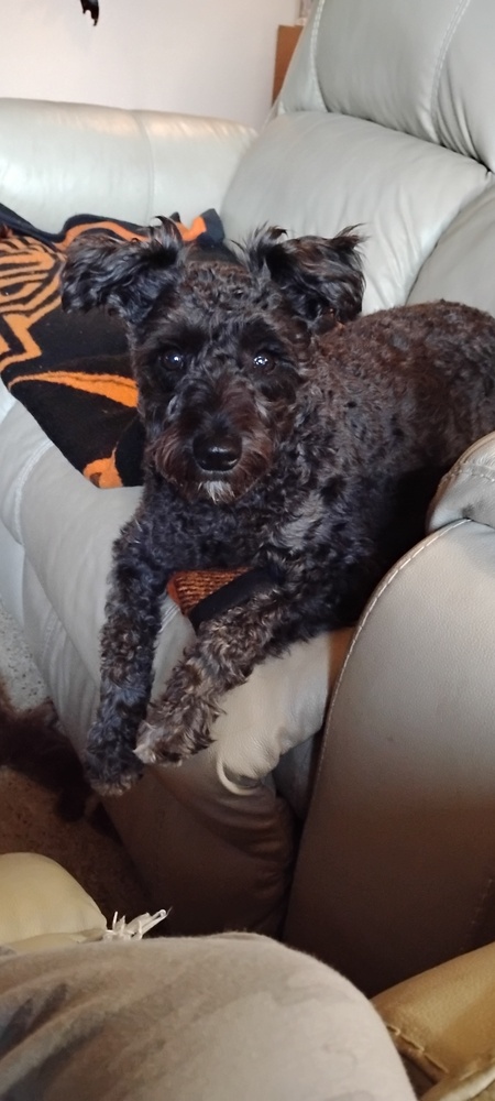 Entry image for Maggie Mae . Clicking this image will show a larger photo