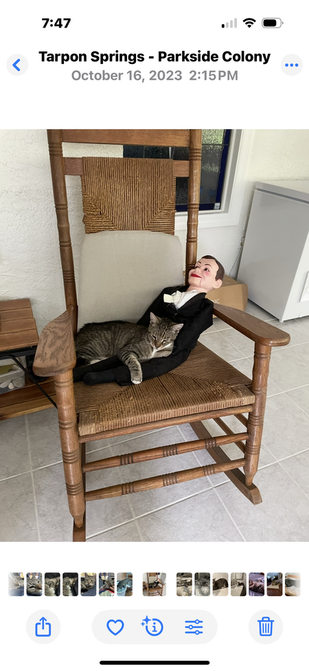 Entry image for Iscus . Clicking this image will show a larger photo