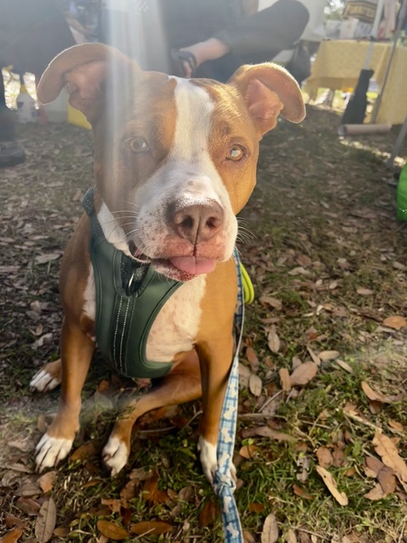 Entry image for Riley. Clicking this image will show a larger photo