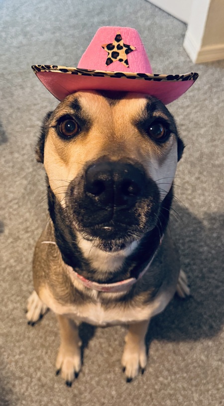 Maya