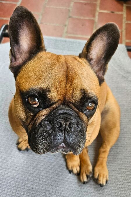 Roxy
