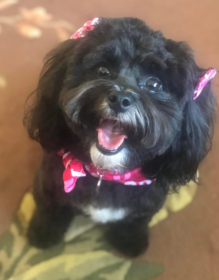 Bailey