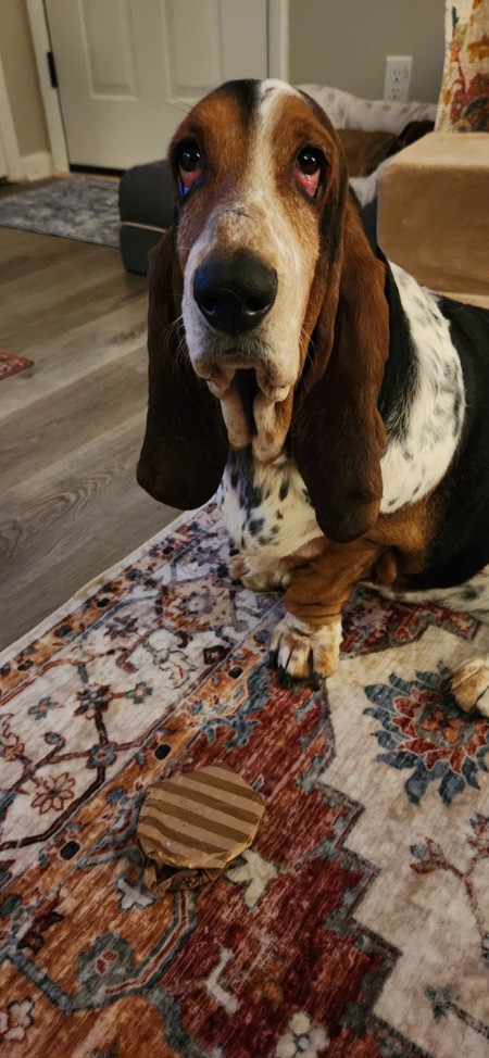 Ella