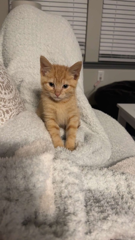 Winnie