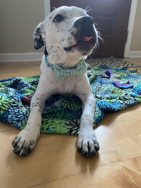 Roux