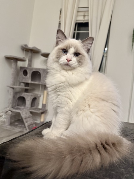 Theodore