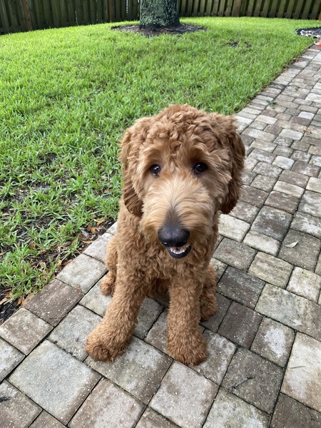 Rusty