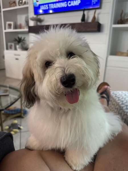 Benny Fritz