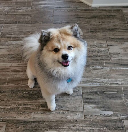 Chloe