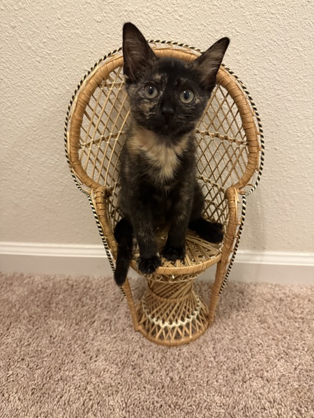 Winnie