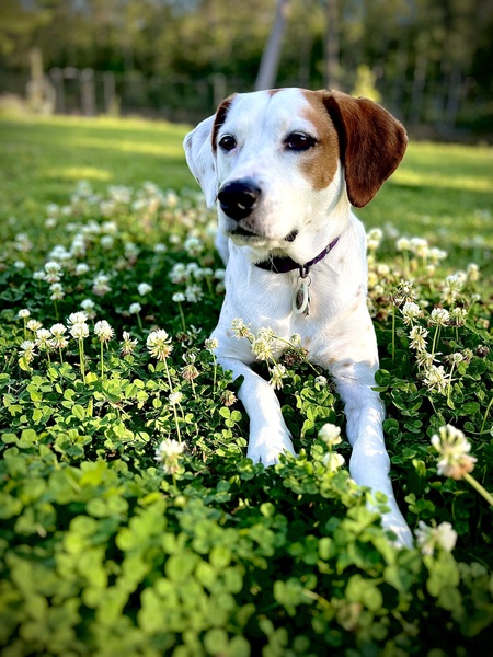 Penny Mae