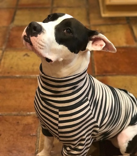 Petunia (Petey) Lueck