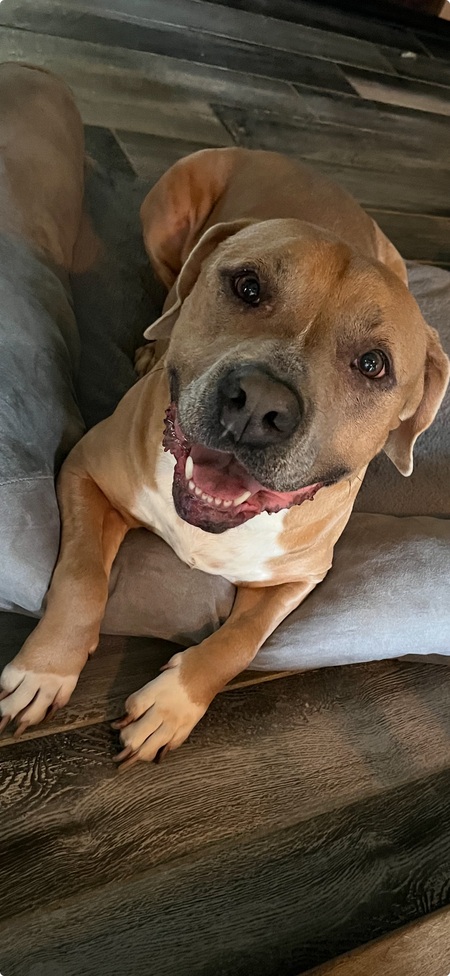 Daisy Belle 